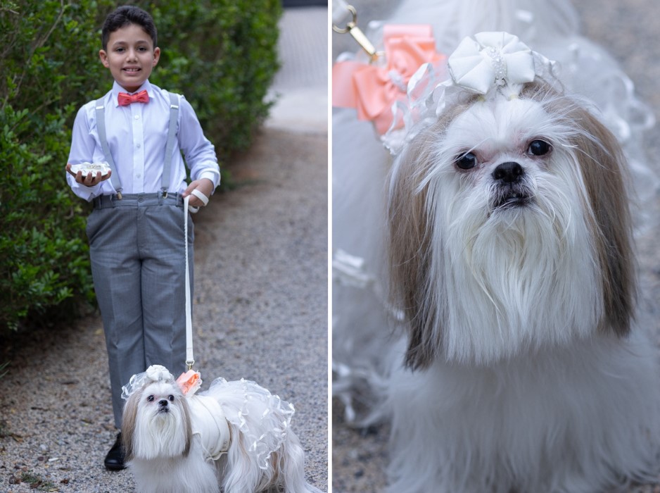 Casamento Márcia Dantas e Rafael Bianco
