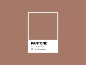 cor do ano 2025 mocha mousse 1