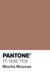 cor do ano 2025 mocha mousse 5