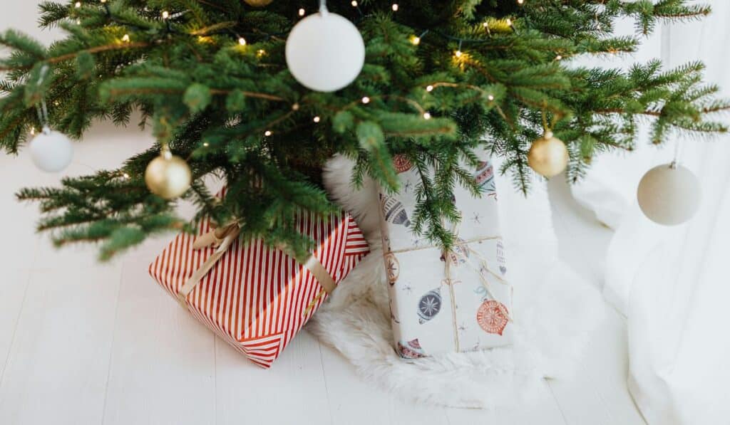 Presente de Amigo Secreto em 2025 Presente de Amigo Secreto em 2025