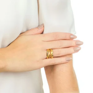 Anel de Ouro 18K com Chapas Abauladas Acetinadas AN20402 1 1