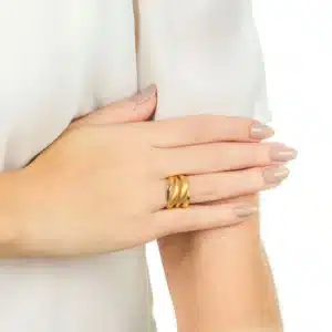 Anel de Ouro 18K com Chapas Abauladas Acetinadas AN20402 1
